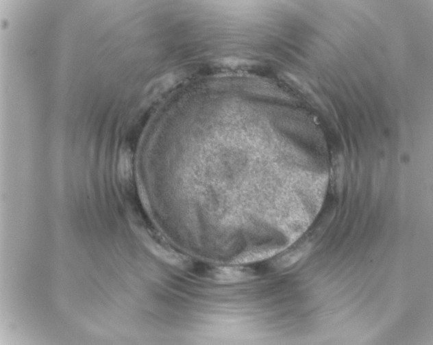 X0000088160623200706051053