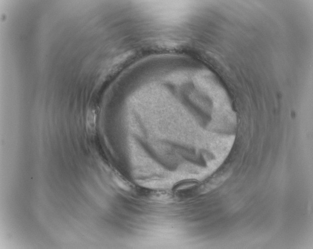 X0000088160624200706051053