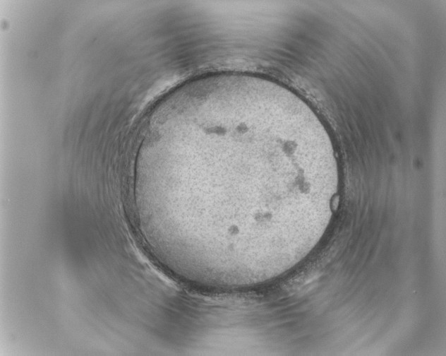 X0000088160625200706051052