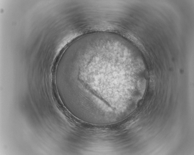 X0000088160626200706051052