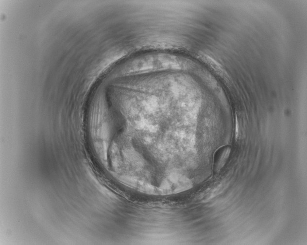 X0000088160627200706051052