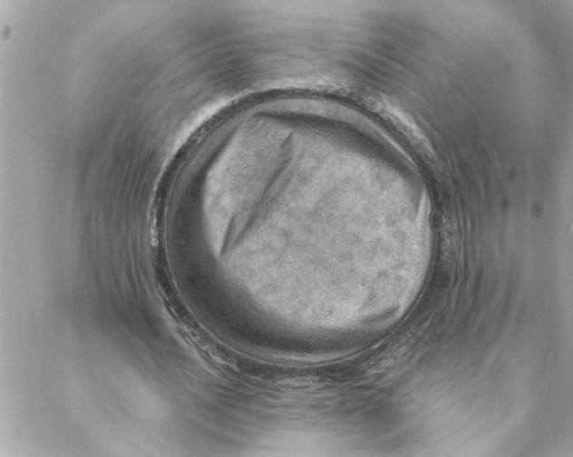 X0000088160628200706051052