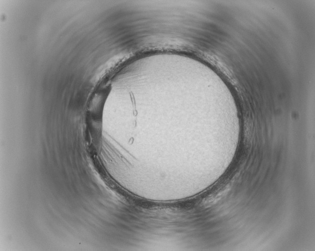 X0000088160629200706051052