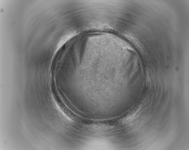 X0000088160630200706051052