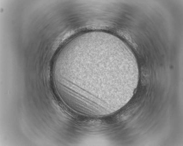 X0000088160631200706051052