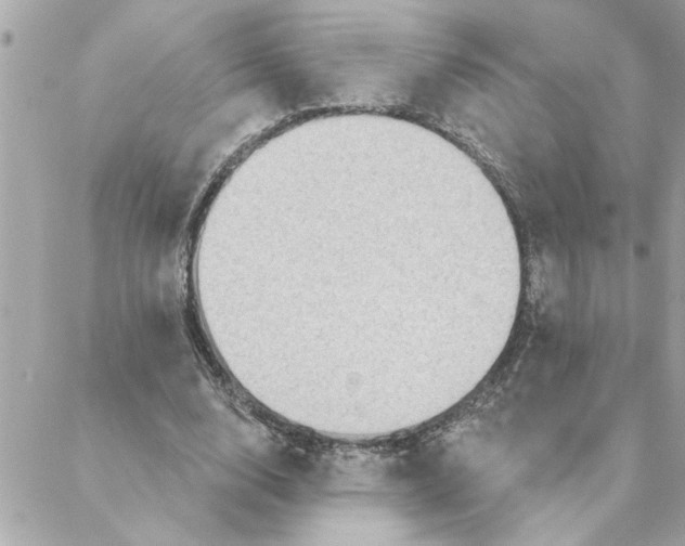 X0000088160632200706051052