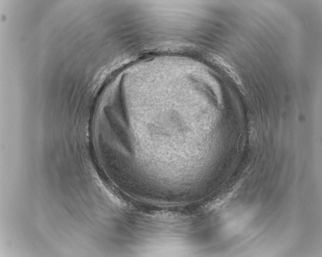 X0000088160633200706051052