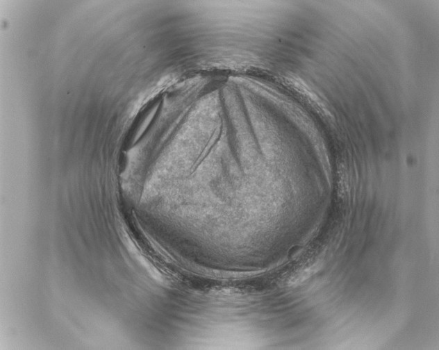 X0000088160634200706051052