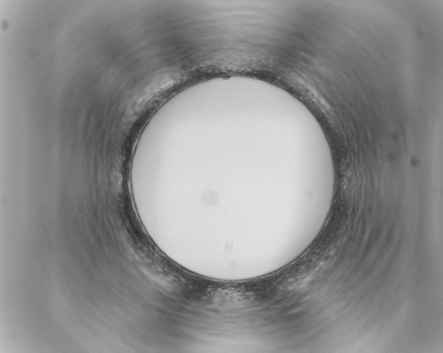 X0000088160635200706051052