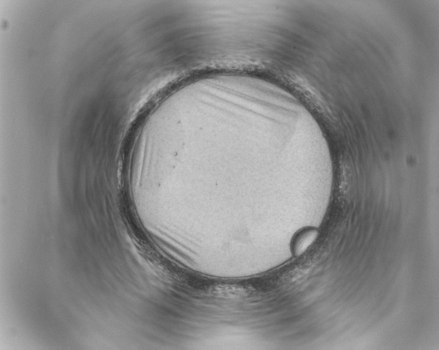 X0000088160636200706051052