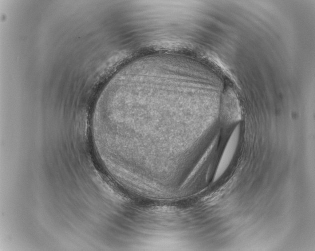 X0000088160637200706051052