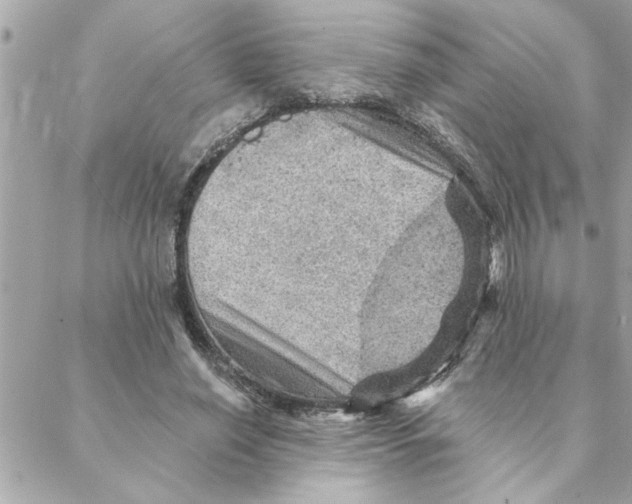 X0000088160638200706051052