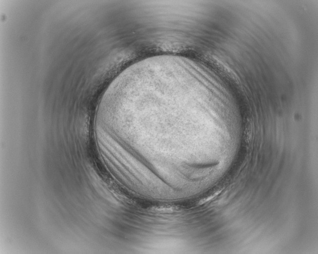 X0000088160639200706051052