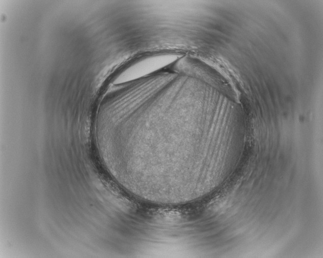 X0000088160640200706051052