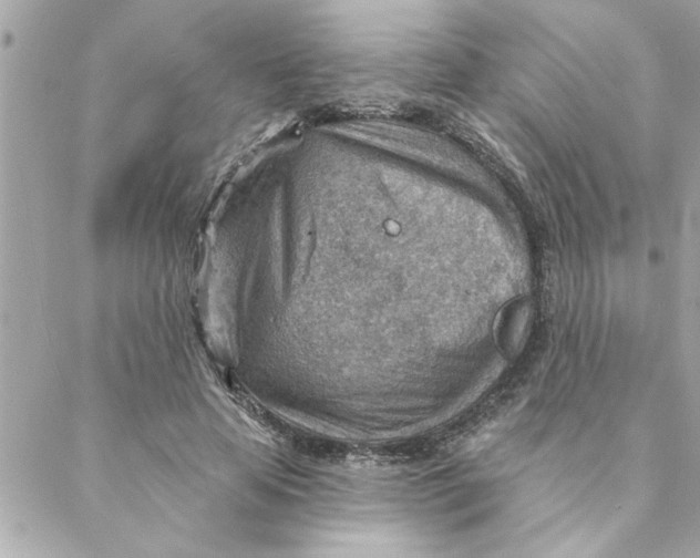 X0000088160641200706051052