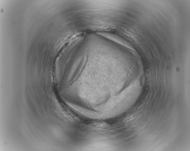 X0000088160642200706051052