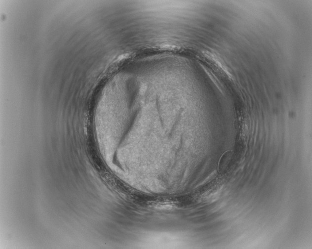 X0000088160643200706051052