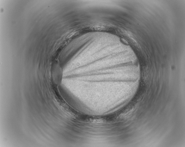 X0000088160645200706051052