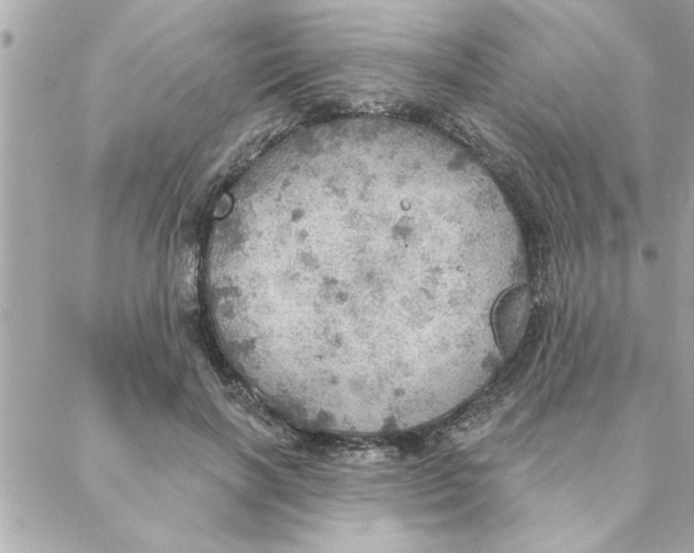 X0000088160646200706051052