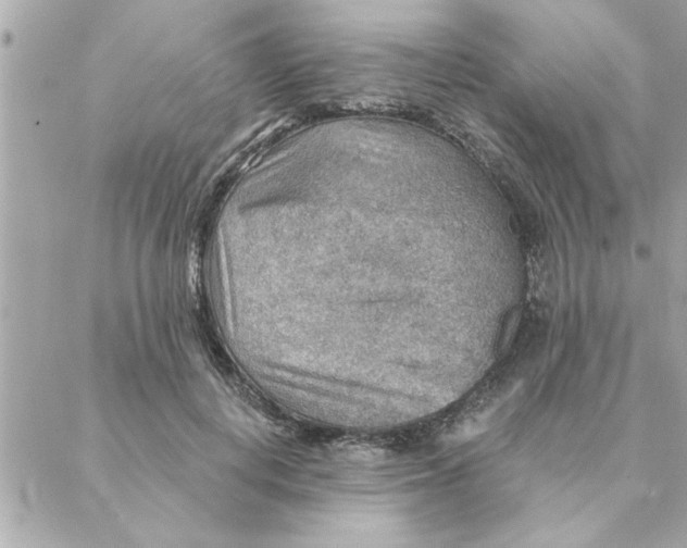 X0000088160648200706051052