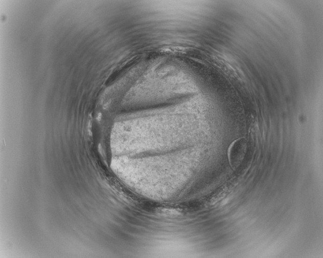 X0000088160649200706051052