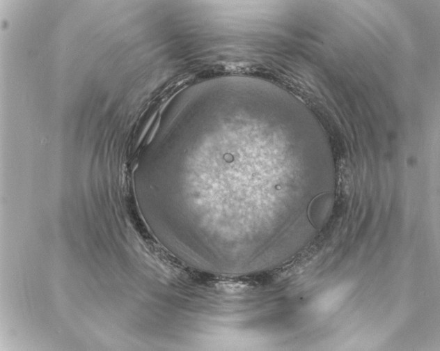 X0000088160650200706051052