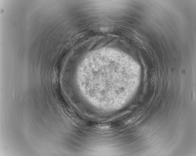 X0000088160651200706051052