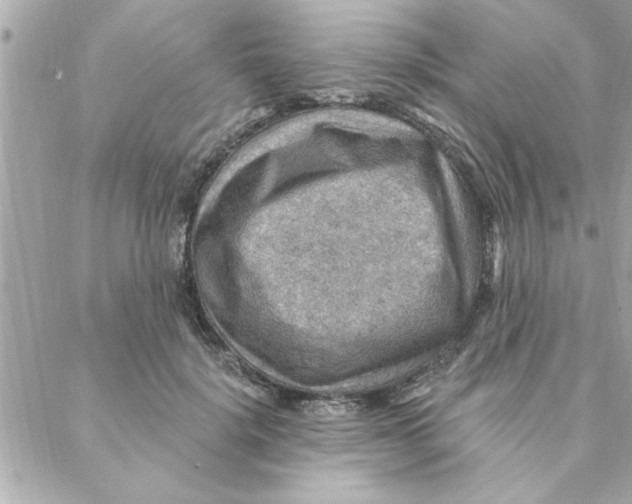 X0000088160652200706051052