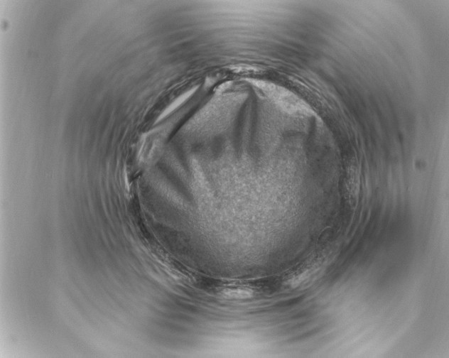 X0000088160653200706051052