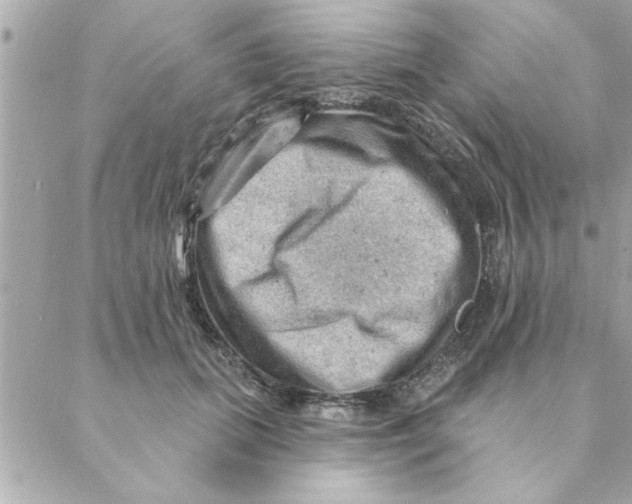 X0000088160655200706051052