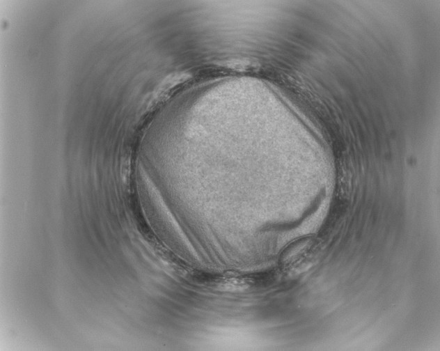 X0000088160656200706051052