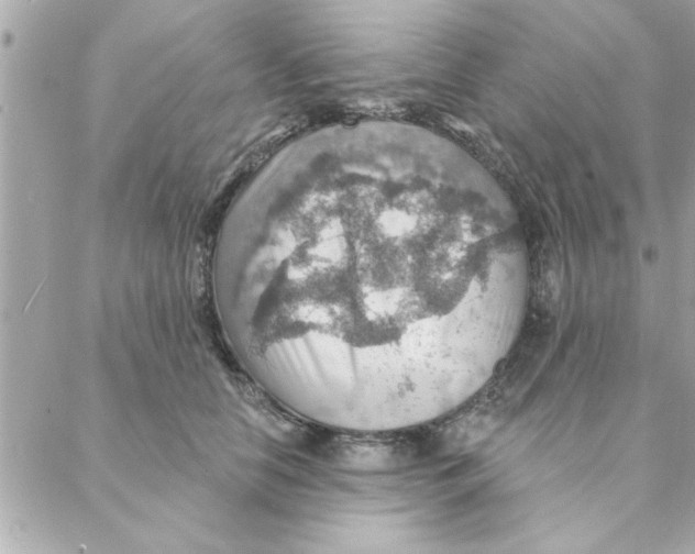 X0000088160658200706051052