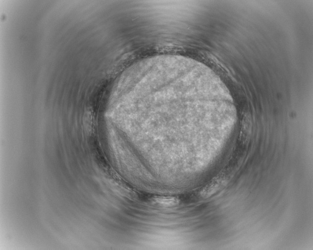 X0000088160659200706051052