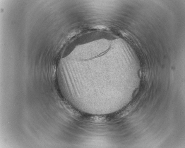 X0000088160660200706051053