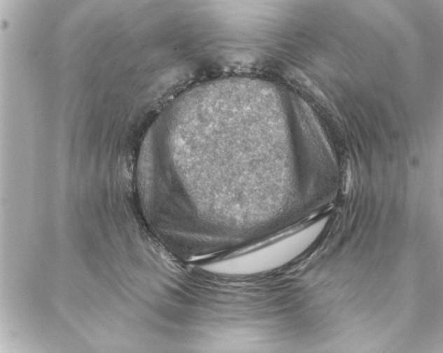 X0000088160661200706051053