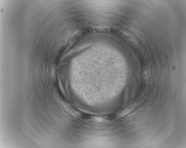 X0000088160662200706051053