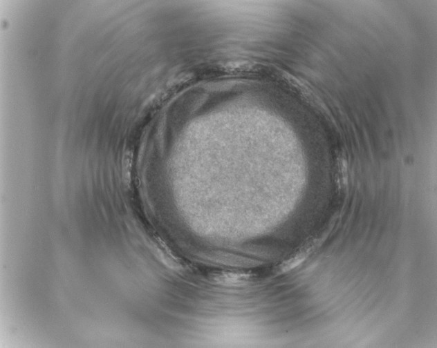 X0000088160664200706051053