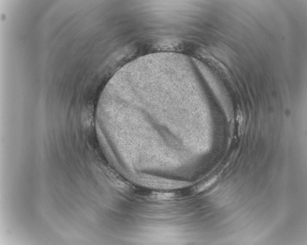 X0000088160665200706051053