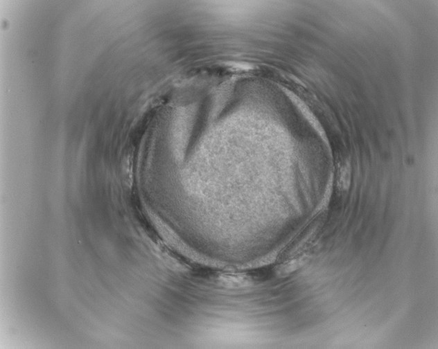 X0000088160666200706051053