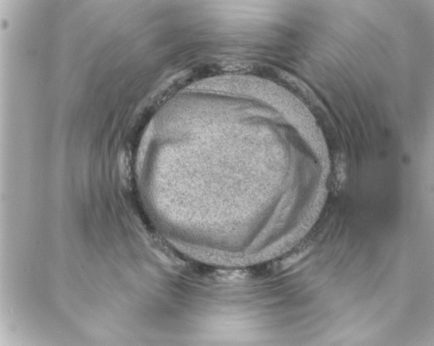 X0000088160667200706051053