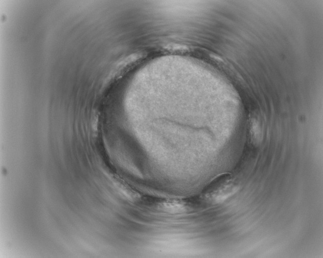 X0000088160668200706051053