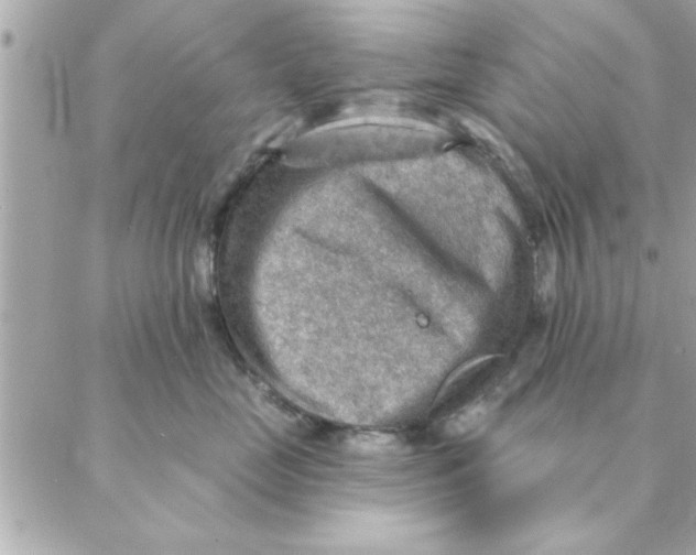 X0000088160669200706051053