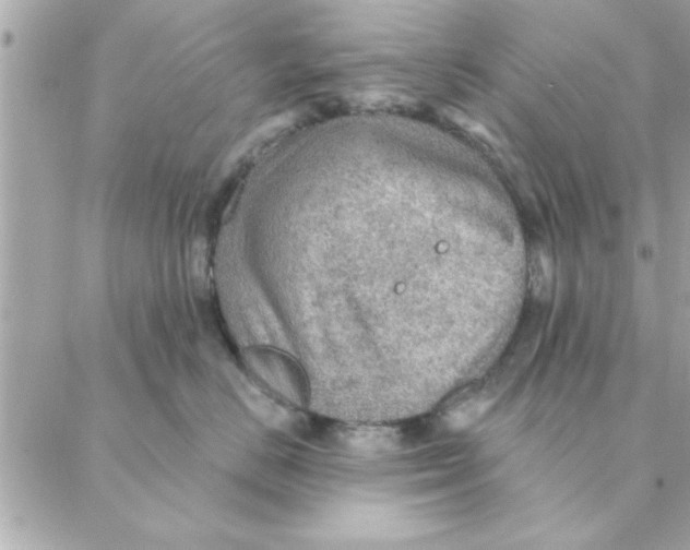 X0000088160670200706051053