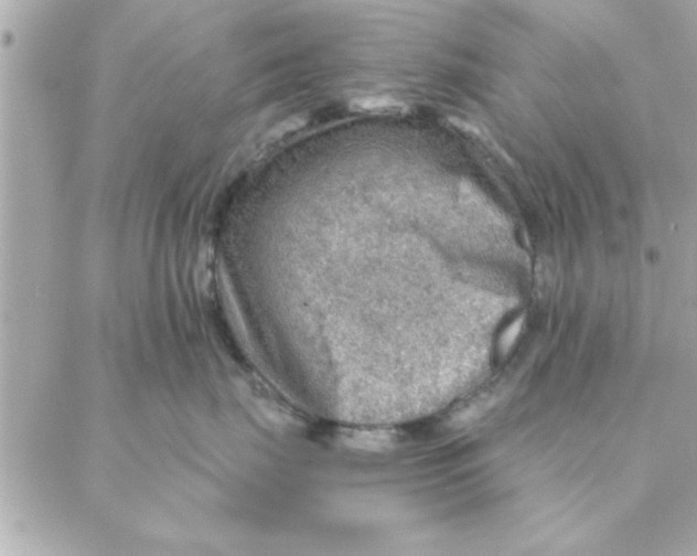 X0000088160671200706051053