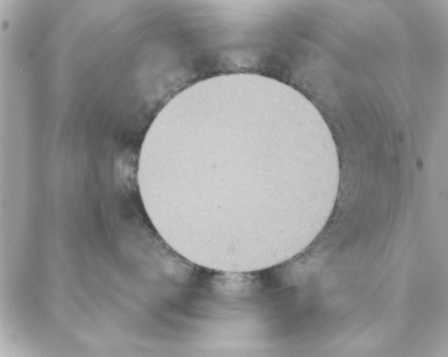 X0000088160672200706051053