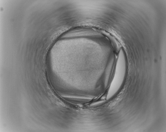 X0000088160673200706051052