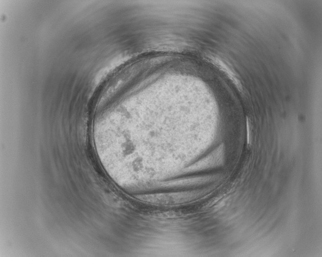 X0000088160675200706051052