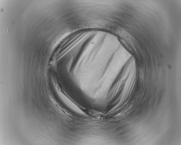 X0000088160676200706051052