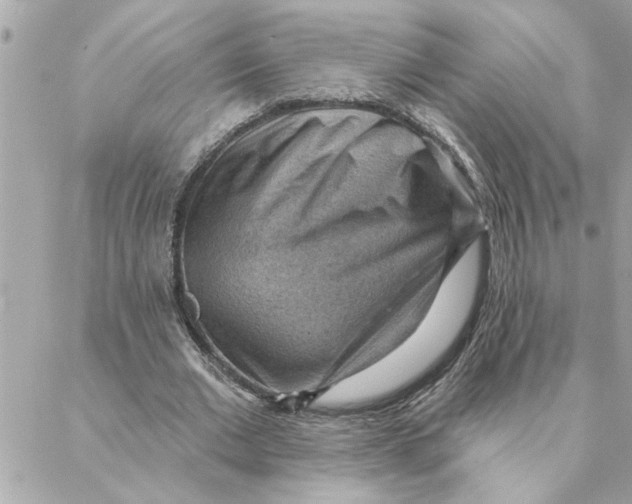 X0000088160677200706051052