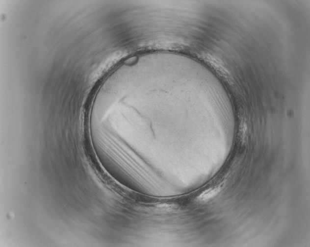 X0000088160678200706051052